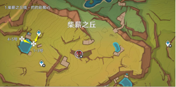 《原神》5.0灼灼彩菊在哪里采集