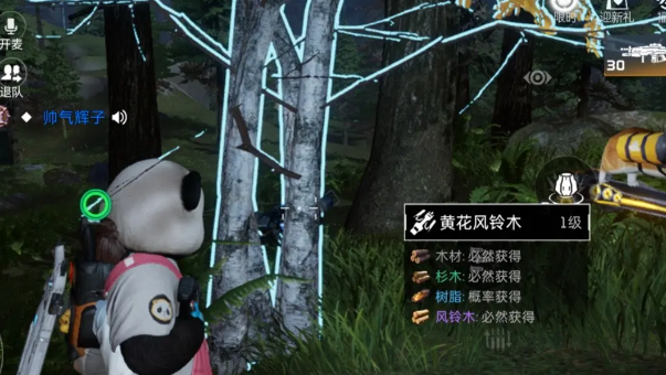 《星球重启》黄花风铃木具体位置一览