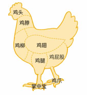 《文字的力量》看鸡找部位怎么过
