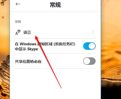 1635476102352399.jpg 《skype》怎样设置语言