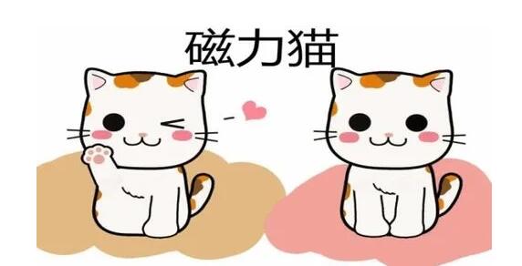 《磁力猫》可用的搜索引擎地址有哪些