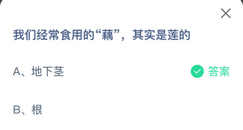 《支付宝》我们经常食用的藕其实是莲的