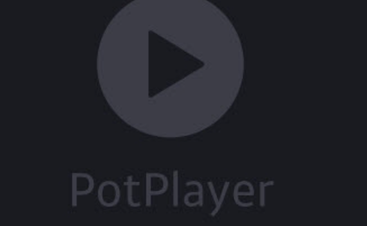 《PotPlayer》更改书签设置方法介绍
